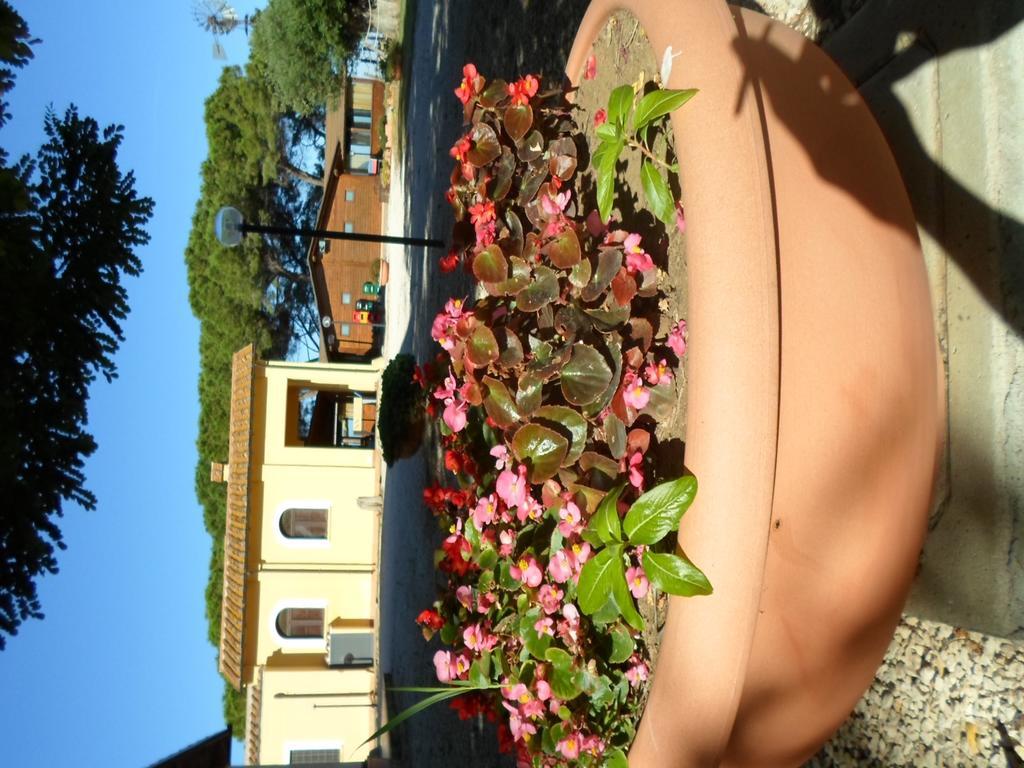 Agriturismo Toscanella Montebello Exterior photo